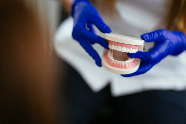 Best Pediatric Dentistry  in Northfield, MN
